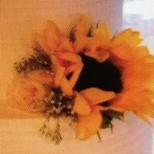 Meet your Posher, Priscilla